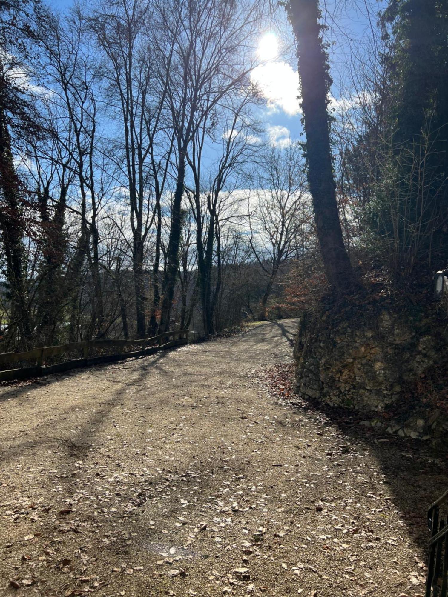 זיגמרינגן Schloss Suggenstein מראה חיצוני תמונה